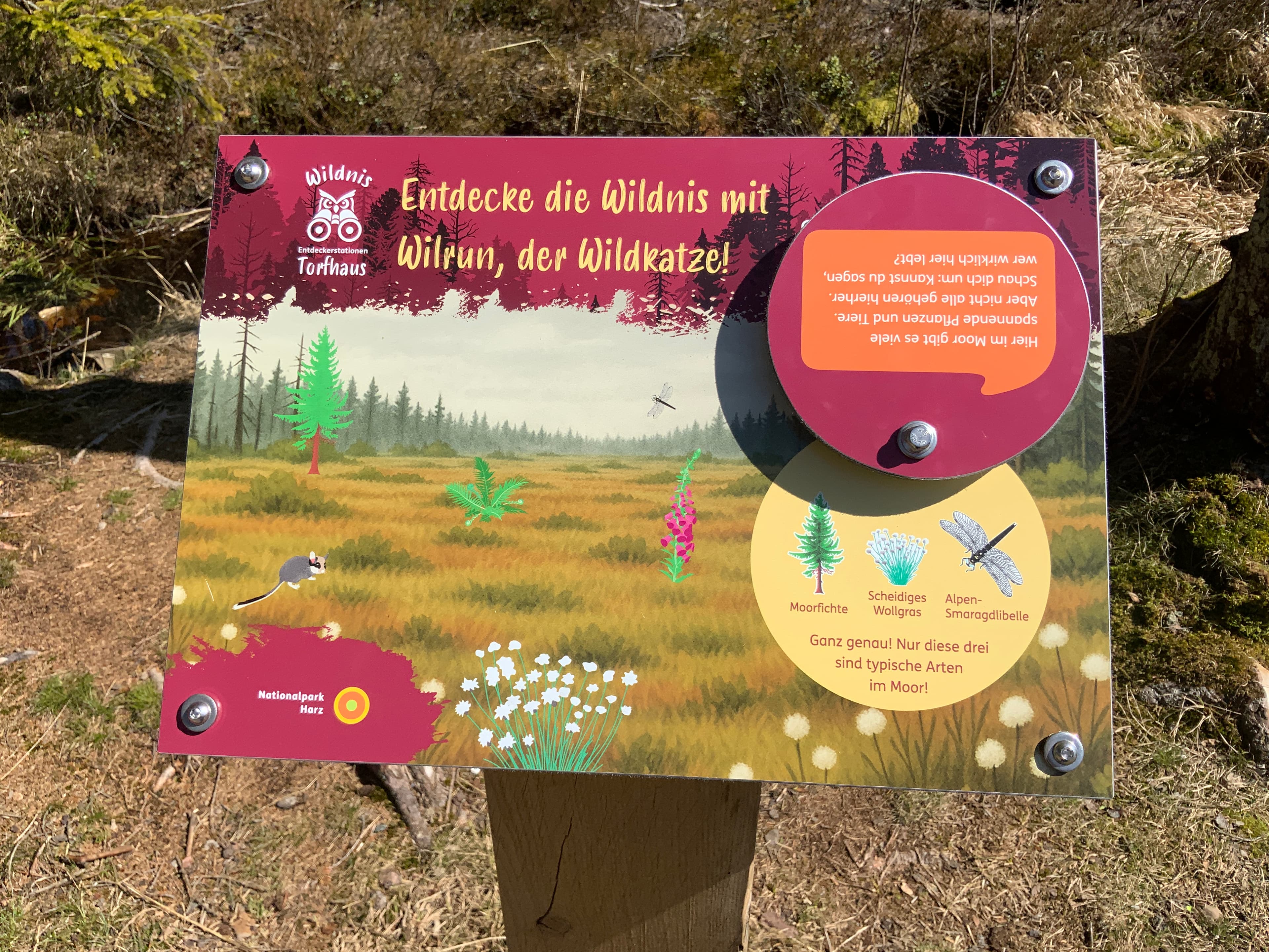 Wildnis zum Anfassen: Die neuen Entdeckerstationen am Torfhausmoor sind eröffnet